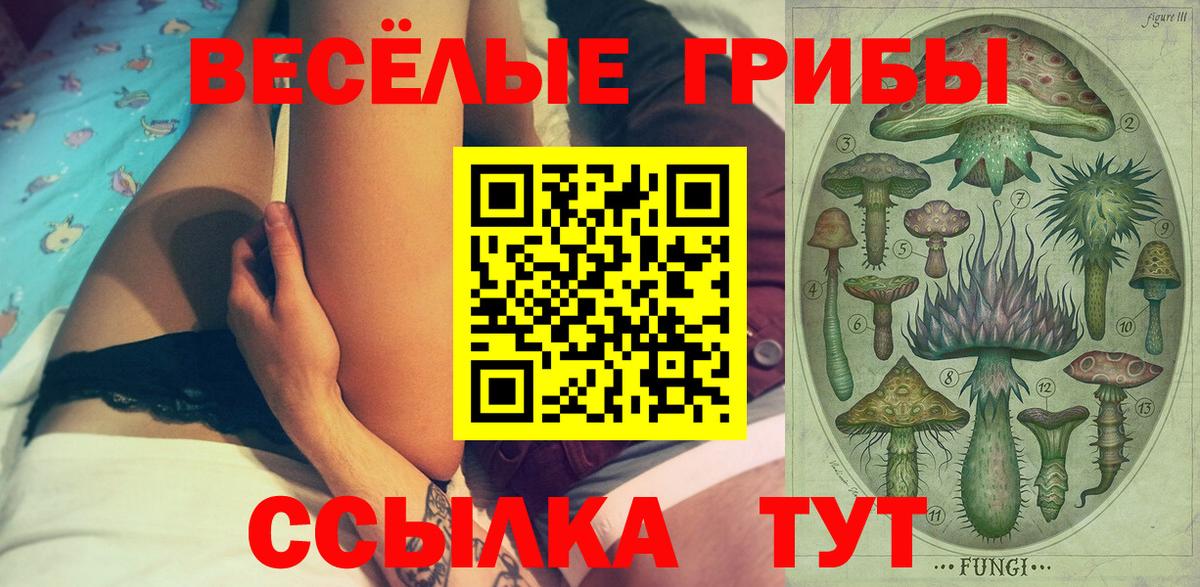 Галлюциногенные грибы Psilocybine cubensis Наро-Фоминск