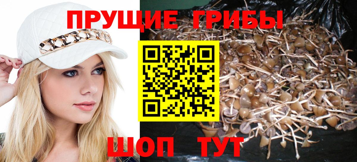 Псилоцибиновые грибы Psilocybine cubensis  Вход с VPN  сколько стоит  Псилоцибиновые грибы прущие грибы  Наро-Фоминск 